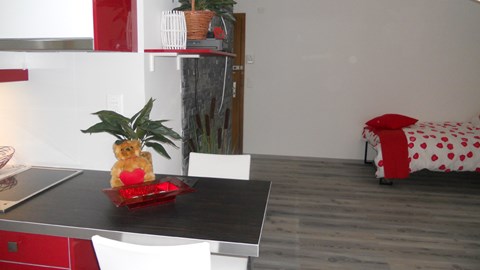 Large studio in clarens montreux